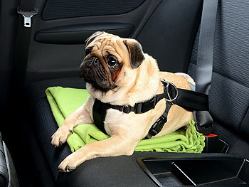 infactory Hundegeschirr für die sichere Autofahrt, Größe M, 41-48 cm