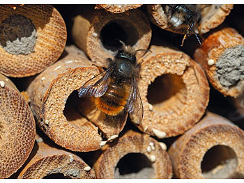 Royal Gardineer Insektenhotel "Flip" mit Erdspieß als Nisthilfe für Nützlinge, 160 cm