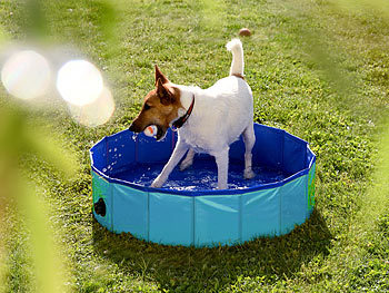 Plantschbecken Hundespielzeug Becken Splash