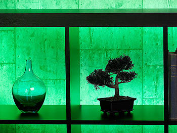 Lunartec LED-Streifen LE-500GN, 5 m, grün, Innenbereich