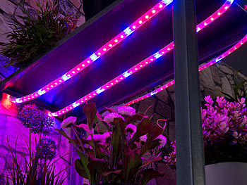 LED-Band für Pflanzen-Anbau in Wohnzimmer, Keller
