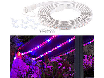 LED Pflanzenlicht: Lunartec LED-Pflanzen-Wachstums-Streifen, 150 rote & 30 blaue LEDs, 3m, kürzbar