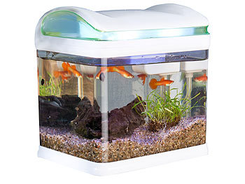 Aquarium: Sweetypet Transport-Fischbecken mit Filter, LED-Beleuchtung und USB, 3,3 Liter