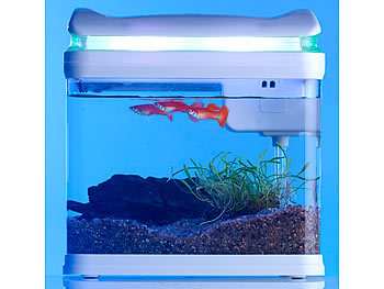 Sweetypet Transport-Fischbecken mit Filter, LED-Beleuchtung (Versandrückläufer)