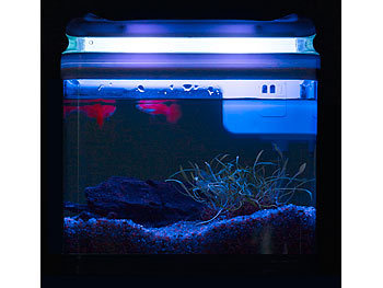 Sweetypet Transport-Fischbecken mit Filter, LED-Beleuchtung (Versandrückläufer)