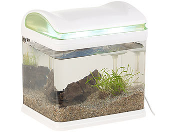 Sweetypet Transport-Fischbecken mit Filter, LED-Beleuchtung und USB, 3,3 Liter