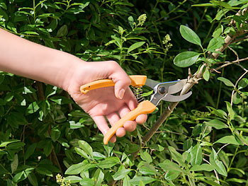 Ratschenschere Blume Messer Werkzeug Klinge Garden Gartenhaus