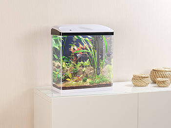 Mini Aquarium Set
