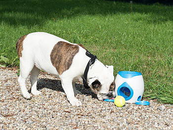 Denkspielzeug Spiel Training Snackball Futterball Beschäftigung Interaktives Hundetraining