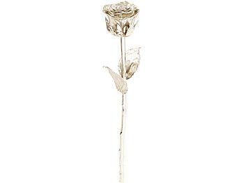Platinrose: St. Leonhard Echte Rose für immer schön, mit 18-karätigem* Platin veredelt, 28 cm