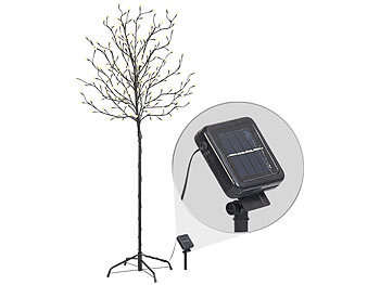 Solar Baum