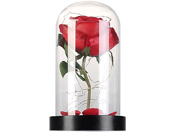 Rose Glaskuppeln