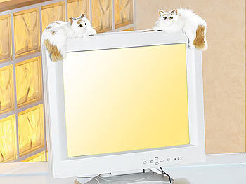 PEARL Katzenpaar für LCD/Plasmamonitore/-fernseher liegend