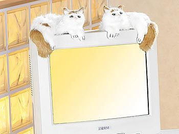 Katzenpaar für Monitore/Röhrenfernseher liegend