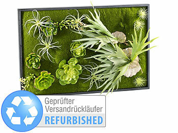 Carlo Milano Vertikaler Wandgarten Knut mit Deko-Pflanzen, 60 x 40 cm (refurbished)