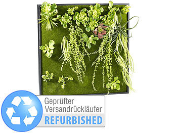 Royal Gardineer Vertikaler Wandgarten Kurt mit Deko-Pflanzen, 60 x 60 cm (refurbished)