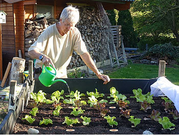 Royal Gardineer Terrakotta-Bewässerungskugel für Gartenbeete, 6,5 Liter, 21 x 30 cm