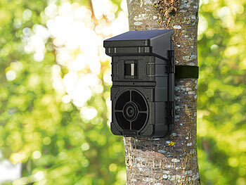 Überwachungskamera Wald