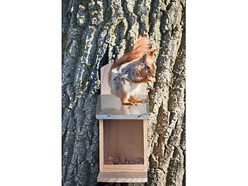 Eichhörnchen-Futter-Bausatz
