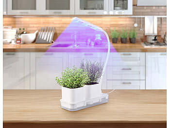 Pflanzen-Anzucht-Systeme mit LED-Licht