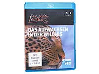 Discovery Channel Der kleine Leopard - Das Aufwachsen in der Wildnis (Blu-ray) Discovery Channel Dokumentationen (Blu-ray/DVD)