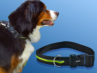 infactory Sicherheits-LED-Leucht-Hundehalsband "Neon Light" infactory 