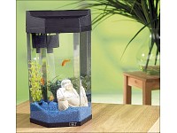 infactory Säulen-Panorama-Aquarium "Neptun" im Komplett-Set, 7 Liter infactory Mini-Fischbecken-Komplettsets