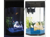 infactory Säulen-Panorama-Aquarium "Neptun" im Komplett-Set, 7 Liter infactory Mini-Fischbecken-Komplettsets