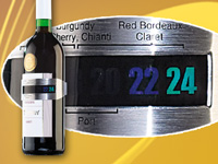 Rosenstein & Söhne Praktisches Flaschen-Thermometer für Wein, Sekt, Saft u.v.m. Rosenstein & Söhne 