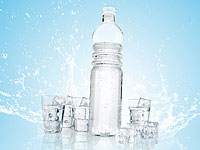Rosenstein & Söhne Luftdichte Wasserflasche aus Glas m. 4 Trinkgläsern Rosenstein & Söhne Luftdichte Wasserflaschen mit Gläsern