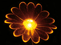 Lunartec Blumen-Motiv-Leuchte mit LED (batteriebetrieben) Lunartec LED Heim-Dekorationen