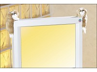 PEARL Tempelhund-Paar für LCD/Plasma-Monitore/Fernseher hängend PEARL Monitor-Deko-Figuren