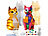 Playtastic 4er Set DIY-Katzenlampen-Malset mit 12 Farben, batteriebetrieben Playtastic DIY-Mallampen für Kinder 