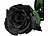 St. Leonhard 4er-Set Infinity-Rosen "schwarz" mit Stiel, 3-5 Jahre haltbar, 28x5cm St. Leonhard Infinity-Rosen