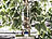 Royal Gardineer 6er-Set Tonspitzen-Pflanzenbewässerung-System für PET-Flaschen Royal Gardineer Tonspitzen-Wasserspender für Topfpflanzen mit Flaschenaufsatz