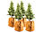 Pflanzenschutzhülle: Royal Gardineer 4er-Set Thermo-Topfschutze für Pflanzen, 50 x 45 cm, Drainage, braun