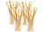 Rosenstein & Söhne 48 Bambus-Trinkhalme 220 mm, wiederverwendbar, mit Reinigungsbürste Rosenstein & Söhne 