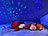 Playtastic Marienkäfer "Flo" mit Farb-Lichtprojektion und Lautsprecher Playtastic Nachtlichter Plüschtiere (Baby Einschlafhilfen)