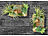 Carlo Milano Vertikaler Wandgarten Lisa mit Deko-Pflanzen, 20 x 30 cm Carlo Milano Wandgärten