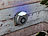 Exbuster Ultraschall-Schädlingsvertreiber mit LED-Nachtlicht, wirkt auf 10 m² Exbuster Ultraschall-Schädlings-Vertreiber mit Nachtlicht