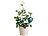 Royal Gardineer Boden-Feuchtigkeitsmessgerät für Pflanzen, 3er-Set Royal Gardineer Pflanzen Feuchtigkeitsmesser