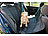 Sweetypet Auto-Schondecke für Hunde, für Rückbank & Kofferraum, 145 x 145 cm Sweetypet