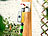 Royal Gardineer WLAN-Bewässerungscomputer, 2-Wege-Verteiler, Feuchtigkeitssensor, App Royal Gardineer WLAN-Bewässerungscomputer mit App, Regensensoren und Gartenschlauch-Verteilern