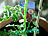 Royal Gardineer 2 Pflanzenbefestigungs-Sets mit Pflanzenclips, XXL-Pack, je 71-teilig Royal Gardineer Pflanzenclips und -binder