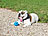 Sweetypet Hunde-Spielball aus Naturkautschuk, mit Snack-Ausgabe, Ø 8 cm, blau Sweetypet Snackbälle für Haustiere