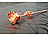 St. Leonhard Echte Rose für immer schön, mit 18-karätigem* Roségold veredelt, 28 cm St. Leonhard ECHTE Rosen vergoldet
