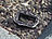 Lunartec Geheimversteck in Steinoptik, für Schlüssel, Caches u.v.m. Lunartec Schlüsselverstecke