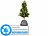 Royal Gardineer Thermo-Topfschutz für Pflanzen, 40 x 40 cm, Versandrückläufer Royal Gardineer Thermo-Topfschutze für Kübelpflanzen