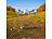 Simulus Faltbare RC-WLAN-Drohne mit HD-Kamera, Hover- und Rückhol-Funktion Simulus Faltbarer WiFi-Quadrocopter mit HD-Kameras