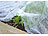 Royal Gardineer 2er-Set Frostschutz-Gartenvlies für Mikroklima, je 10 x 1,6 m, 17 GSM Royal Gardineer Frostschutz-Gartenvliese
